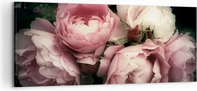 Produktbild von Bild auf Leinwand - Leinwandbild - Pfingstrose Blume - 120x50cm - Wand Bild - Wanddeko - Wandbilder - Leinwanddruck - Bilder - Kunstdruck - Wanddekoration - Leinwand bilder - Wandkunst - AB120x50-3930