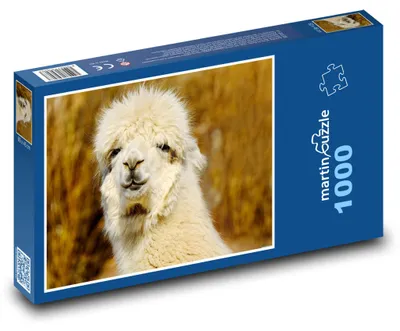 Produktbild von Puzzle 1000 Weiße Alpaka im Feld - martinpuzzle