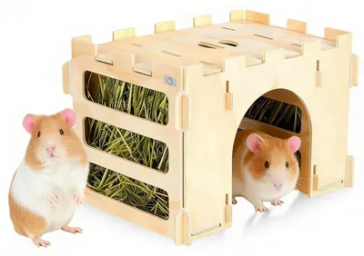 Produktbild von Heu-Raufe für Meerschweinchen aus natürlichem Holz