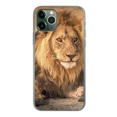Produktbild von MuchoWow® Handyhülle Schutzhülle Hülle für iPhone 11 Pro Löwe - Nahaufnahme - Savanne Silikon Softcase Handy Hülle - Handy