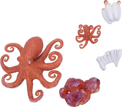 Image de Jouet octopus en 5 parties, ensemble éducatif simulant le cycle de vie des animaux marins pour l'école à la maison