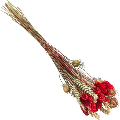 Produktbild von Dehner Blumenstrauß aus Trockenblumen, Blumen-Bouquet Luna aus echten Blumen und Gräsern, Länge 40 cm, Naturmaterial, rot / naturfarben