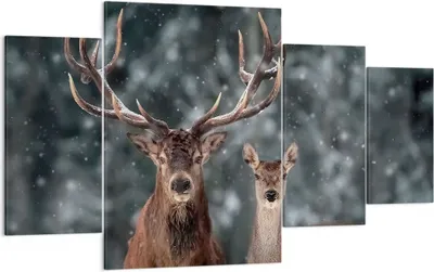 Produktbild von Bild auf Leinwand - Leinwandbild - 4 Teile - Hirsch Rentier Reh - 160x90cm - Wand Bild - Wanddeko - Wandbilder - Leinwanddruck - Bilder - Wanddekoration - Leinwand bilder - Wandbild - DL160x90-5060