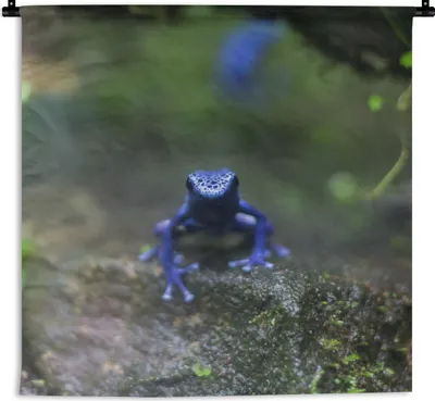 Produktbild von MuchoWow® Wandteppich Wandbehang Blauer Frosch im Dschungel 120x120 cm Tapisserie Dekoration Wandtuch - Modern - Baumwollgewebe