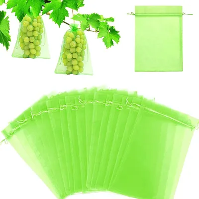 Produktbild von Trauben-Schutzbeutel,24 Stücke Obst Schutzbeutel Organzabeutel,20 x 30cm, Weintrauben Schutzbeutel,Traubenschutzbeutel zum Schutz vor Wespenfrass,Vögel und Andere(Grün)