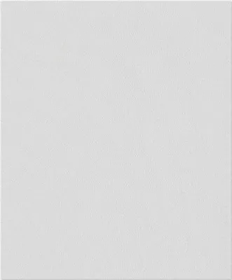 Produktbild von Erfurt Vliesfaser 1004374 Ready 305 10,05x0,53 m