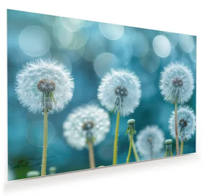 Produktbild von Glasbild 45x30cm in XXL für Wohnzimmer, Schlafzimmer Motiv Löwenzahnwiese