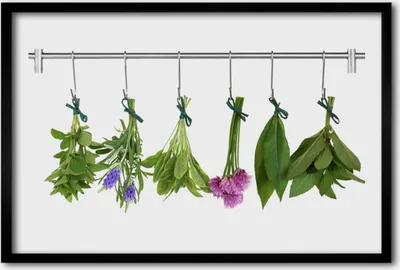 Produktbild von Bild 60x40 MDF-Rahmen Wandkunst Kräuter Getrocknete Blätter Blumen
