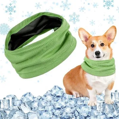 Produktbild von Kühlhalsband für Hunde, Kühlendes Hundehalstuch, Kühlender Hundeschal, Kühlendes Hundehalsband Kühlend, Kühltuch Hund Halstuch Kühlend, Bandana Hunde Halstücher Kühlend, für Kühlung Hund im Sommer
