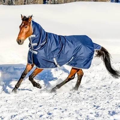 Produktbild von Bucas Outdoordecke 150g Freedom Turnout Full Neck Weidedecke Navy 135