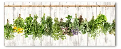 Produktbild von Tulup® Küchenrückwand Spritzschutz aus Glas -125x50 -Spritzschutz auf gehärtetes Glas Blumen & Pflanzen Kräuter an Schnur