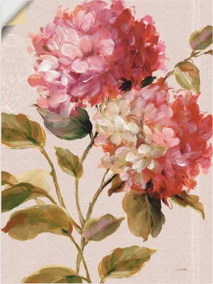 Produktbild von ARTland Wandbild, selbstklebend Harmonische Hortensien Größe: 90x120 cm