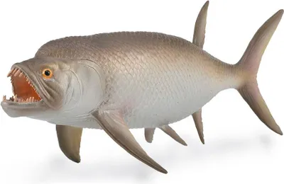 Produktbild von Collecta 88928 Xiphactinus 16 cm Dinosaurier