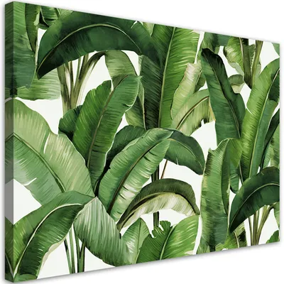 Image de Toile « Feuilles tropicales vertes » 90 x 60 Feeby Image verte pour le mur, prête à être accrochée