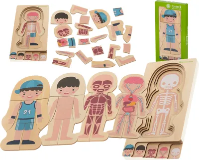 Obrázok produktu pre Drevené vrstvené puzzle montessori bodybuilding boy