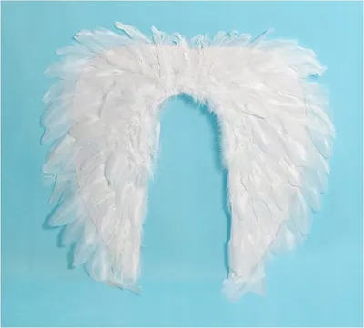 Image de ailes d'ange 50x45cm