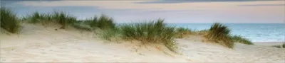 Produktbild von Küchenrückwand mySpotti Profix Dünenpanorama 270 x 60 cm PX-27060-849-HB