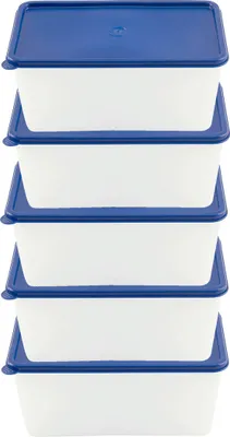 Produktbild von 5er Gefrierdosen Set 0,75 l EUROHOME Frischhaltedosen verwendbar als Vorratsdosen & Aufbewahrungsdosen - Behälter gefriergeeignet & hitzebeständig