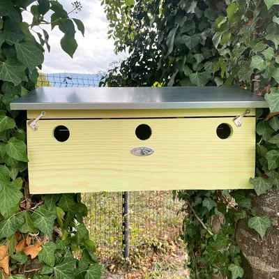 Image de Appartement pour moineaux 3 nids