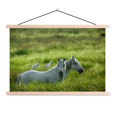 Obrázek produktu pro MuchoWow® Textilní plakát - Koně - Ptáci - Tráva - 60x40cm - S hnědými lamelami