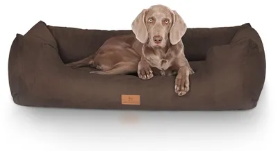 Immagine prodotto di Cuccia per cani Dreamline XXXL - 155 x 105 cm | Marrone