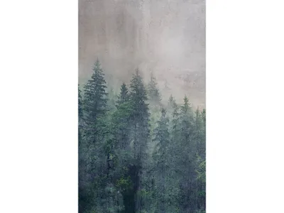 Produktbild von Fototapete - Forest Abstract 150x250cm - Vliestapete