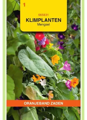 Zdjęcie produktu dla Nasiona roślin pnących "Oranjeband", mieszanka jednorocznych - 1 opakowanie