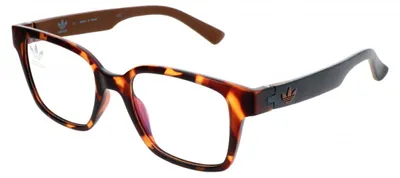 Produktbild von Adidas AOR013O Havana brown 51/19/145 Uni Brillen