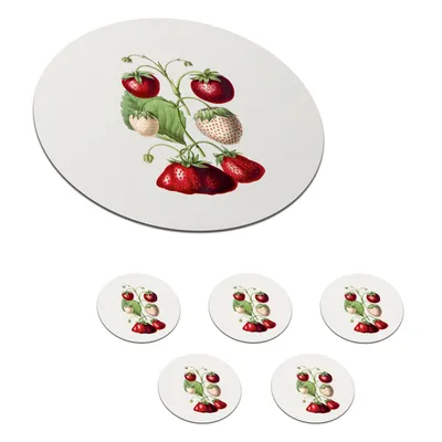 Obrázok produktu pre MuchoWow® Okrúhly sklenený podšálok, sada 6 ks Jahody - rastlina - ovocie 10x10x0.3cm Podložky pod poháre - podložky pod nápoje - ochrana stolovej