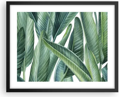 Produktbild von Gerahmtes Poster - Schwarzer Rahmen - Exotisch Blätter Grün - 50x40 cm - Wand Bild - Wanddeko - Wandbilder - Kunstposter - Wandposter - Bilderrahmen - Bilder - Kunstdruck - Wandbild - P2BAA50x40-4258