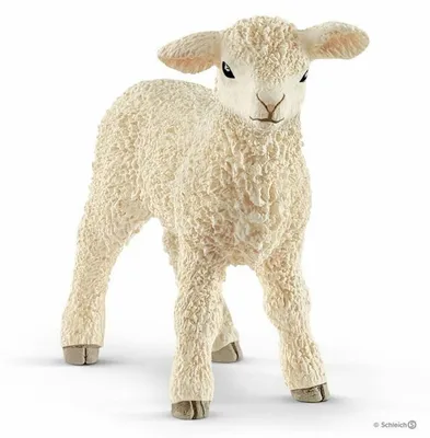 Immagine prodotto di Schleich WIP 13883-BEIGE in Beige color size Talla unica