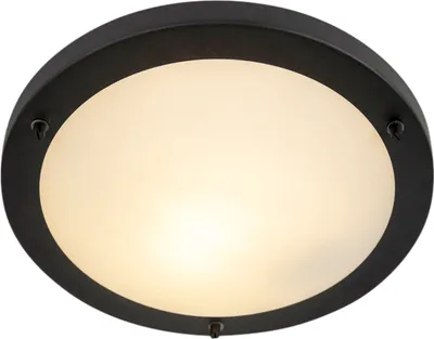 Produktbild von Smart Deckenleuchte Schwarz inkl  WiFi A60 IP44 Yuma 31