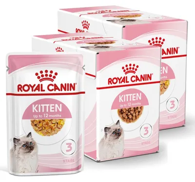 Zdjęcie produktu dla Royal Canin FHN Kitten Instinctive 24x85g Karma Mokra W Sosie i Galaretce Dla Kociąt Do 12 Miesiąca Życia