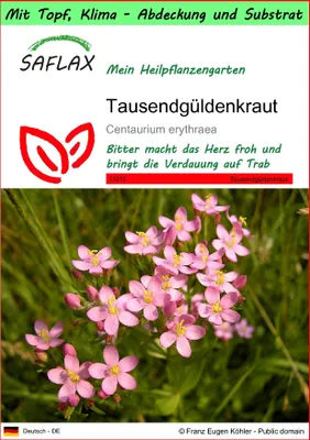 Produktbild von SAFLAX Garden to go - Tausendgüldenkraut - Centaurium erythraea - 250 Samen - Mit Topf, Klima - Deckel und Anzuchtsubstrat