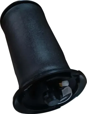 Image de Suspension pneumatique arrière for BMW Série 5 E61 Touring 37126765602 37126765603