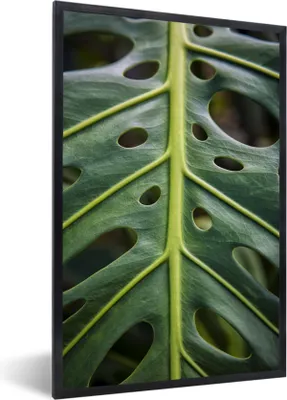 Produktbild von MuchoWow® Gerahmtes Poster Musterblatt mit Löchern 20x30 cm - Poster mit Schwarzem Bilderrahmen Wandposter Rahmen Foto Bilder - Drucken - Bilder Poster im Rahmen