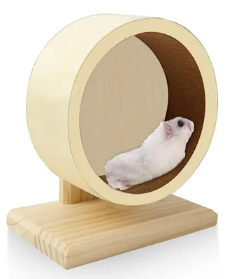 Productafbeelding van Solidchoice - Houten Hamsterwiel 15 cm voor Kleine Dieren