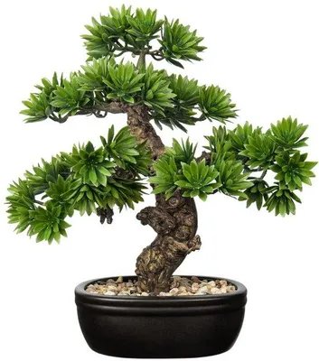 Obrázek produktu pro Umělý bonsaj, 40 cm, do koupelny, kanceláře, na parapet