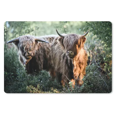Produktbild von MuchoWow® Schreibtischunterlage Schottische Highlander - Wald - Tiere 60x40 cm - XXL Mauspad - Großes Mauspad