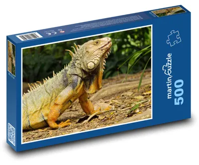 Zdjęcie produktu dla Puzzle 500 Legwan w naturze - martinpuzzle