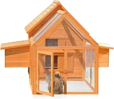 Immagine prodotto di Pollaio per 6-8 galline con spazio all'aperto e nidi - L'allevamento ideale per galline felici