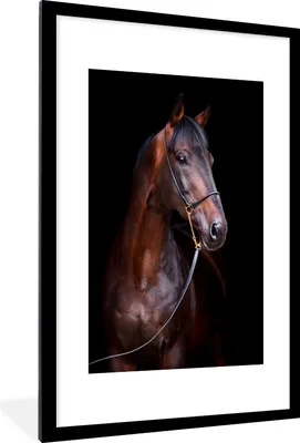 Produktbild von MuchoWow® MuchoWow® Gerahmtes Poster Pferd - Braun - Schwarz - Porträt 60x90 cm - Poster mit zchwarzem Bilderrahmen - Dekoration - Wandposter Wohnzimmer - Hochwertig
