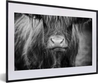 Produktbild von MuchoWow® Gerahmtes Poster Schottischer Highlander - Kuhkopf - Schwarz und Weiß 60x40 cm - Poster mit Schwarzem Bilderrahmen Wandposter Rahmen Foto Bilder - Schlafzimmer - Plakat in Rahmen - Drucken