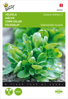 Produktbild von Feldsalat Volhart 2 | Feldsalatsamen von Buzzy Seeds
