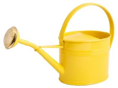 Gießkanne 1,75 l, zitronengelb, mit Apfel-Motiv, Messing