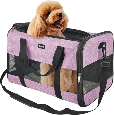 Immagine prodotto di Borsa per il trasporto di animali domestici, taglia L, 43 x 23 x 31 cm, color lilla, traspirante, per gatti