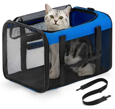 Haustiertransporttasche, weich, 43x28x28 cm, Blau