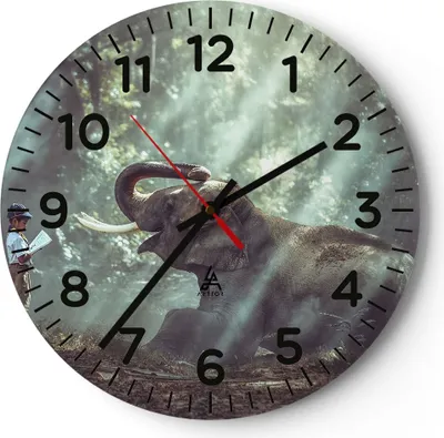 Produktbild von Wanduhr - Rund - Glasuhr - Elefant Dschungel Stoßzahn - 30x30cm - Schleichendes Uhrwerk - Lautlos - zum Aufhängen bereit - Dekoration Modern - Wanddekoration aus Glas - C4AR30x30-3486