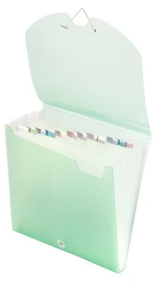 Immagine prodotto di Vaessen Creative, raccoglitore per documenti, 30,5 x 30,5 cm – Portadocumenti con 12 scomparti per 10