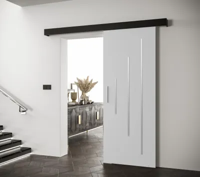 Obrázok produktu pre Posuvné dvere so strieborným úchytom SALOME 11 - 80 cm, biele / čierne